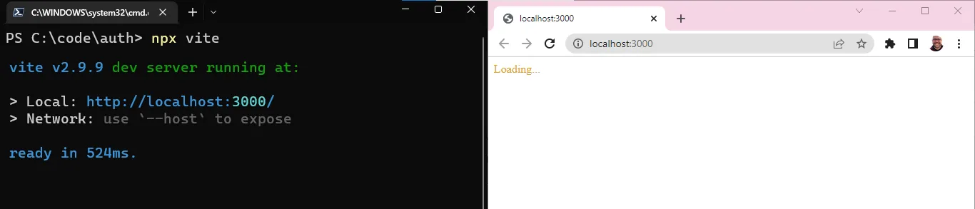 vite running in terminal